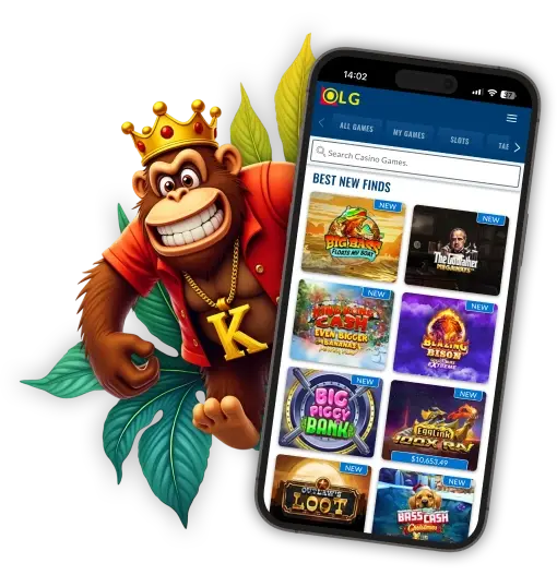 Aperçu de lapplication